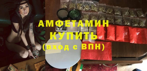 стаф Алексин