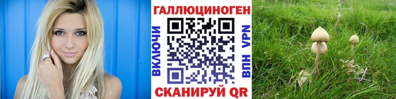 kraken ONION  Балабаново  Галлюциногенные грибы MAGIC MUSHROOMS  купить  